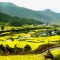 Jiangxi