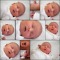 24 hours old