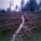 A Path Less Travelled
