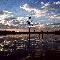 dusk zambia