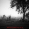 Stillness
