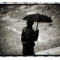 Umbrella