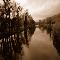 "upon reflection"
