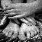 Fingers and Toes