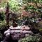 Forgotten Well
