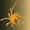 Plant hair in amber (1mm across)