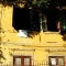 Casa Amarela