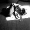 suicidal tendencies