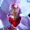Two Orchids