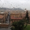 Vatican Blur
