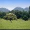 Pasture, Bonito, Brazil