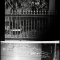 rites of spring reverb burning family photographs