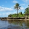 xmas in hawaii 