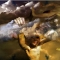 Ascendancy
