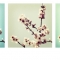 Spring Blossom
