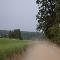 Dirt Road