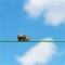 Slow Line