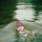 Swim