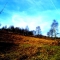 Down Sky