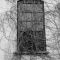 Window With Vines
