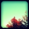 Look Up!