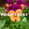 Orange and purple flower