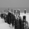 snow fence