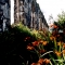 Cornish Mine