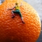 The climber