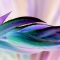 Budding