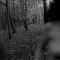 AS I WAS IN THE WOOD