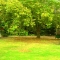 Empty Park