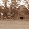 A Farmer