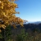 Smoky Mountain Fall