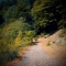 The way