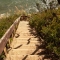 DOWNSTAIRS FROM HEAVEN