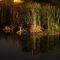 Reflections
