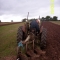 THE LITTLE TRACTOR THAT COULD