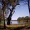 Murray river australia