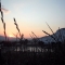 Turkish sunset