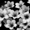 Les Fleurs