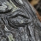 The Ent