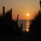 Sunset Dunes