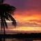 Ft Myers beach FL.