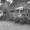 the ol bus