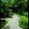 Stairway to heaven