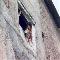 Kid in Window