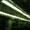 tube 2005