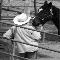 Cowboy