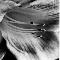 Stamen